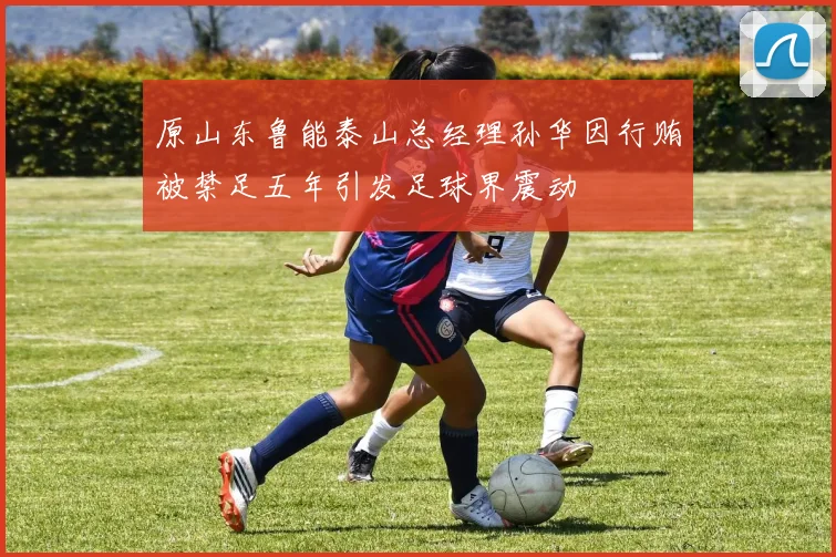 原山东鲁能泰山总经理孙华因行贿被禁足五年引发足球界震动